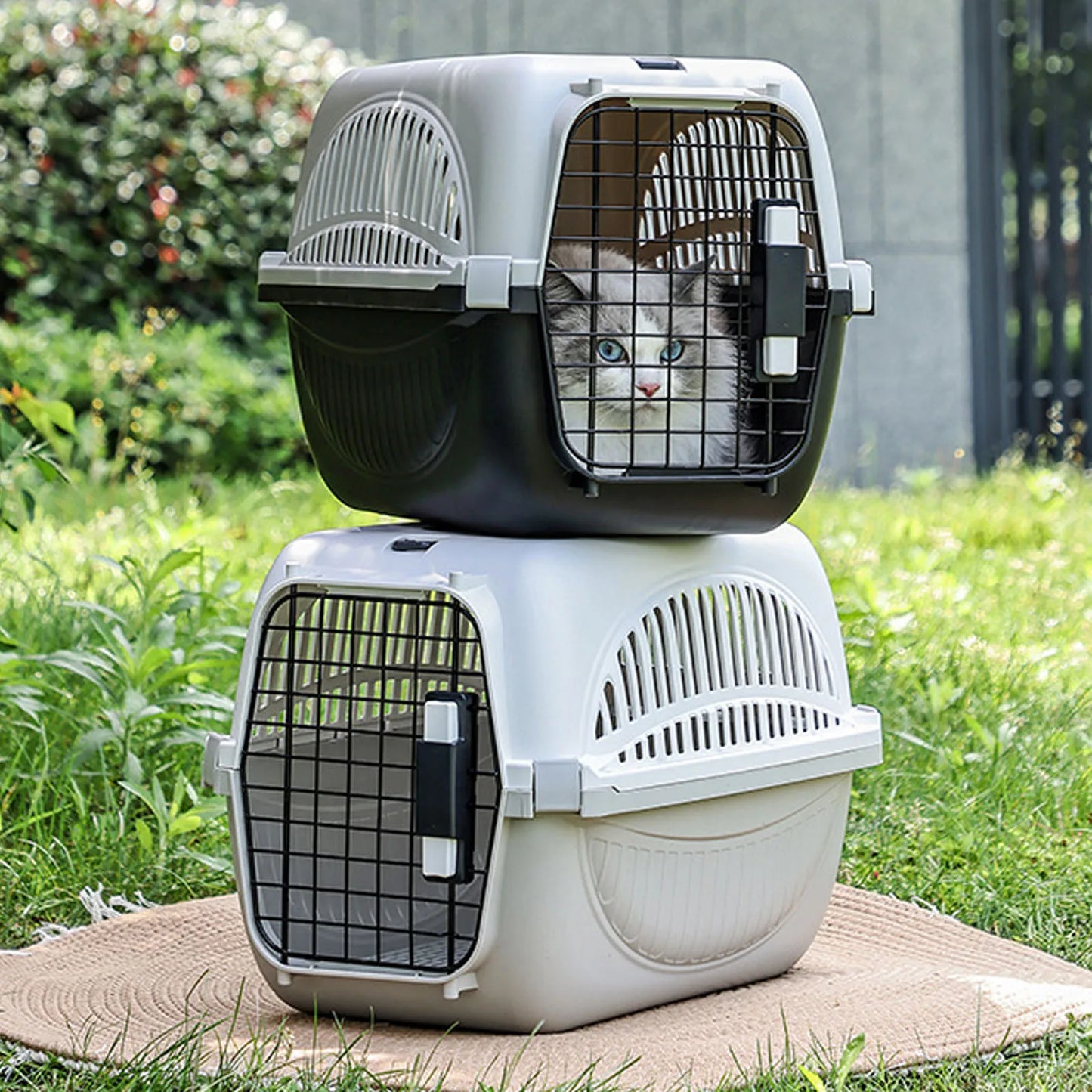Other Plastic Pet Carrier With Ample Ventilation For Small Dogs