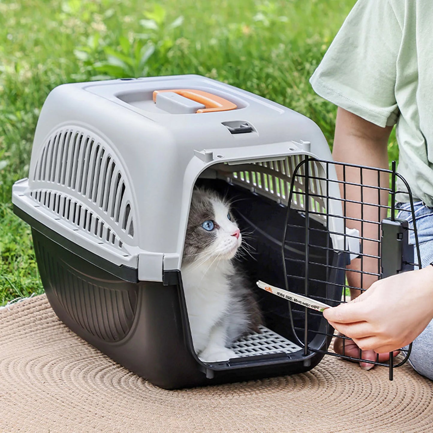 Other Plastic Pet Carrier With Ample Ventilation For Small Dogs