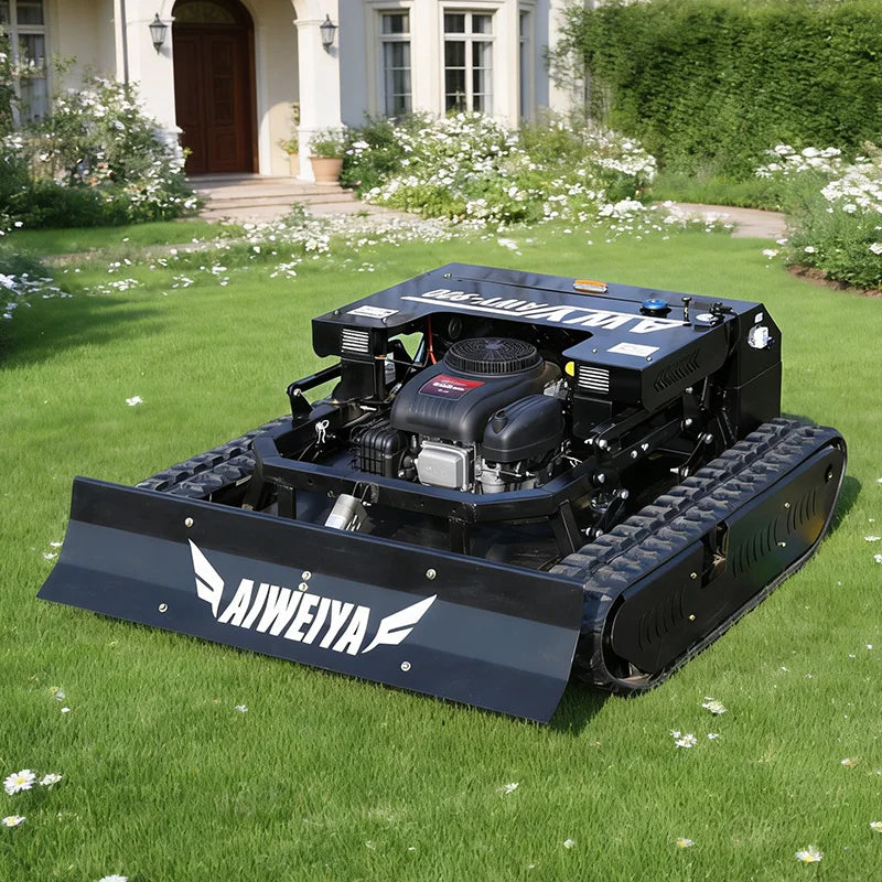 Tongzhong Petrol Lawn Mower Gas Powered Hand Push Garden Equipment