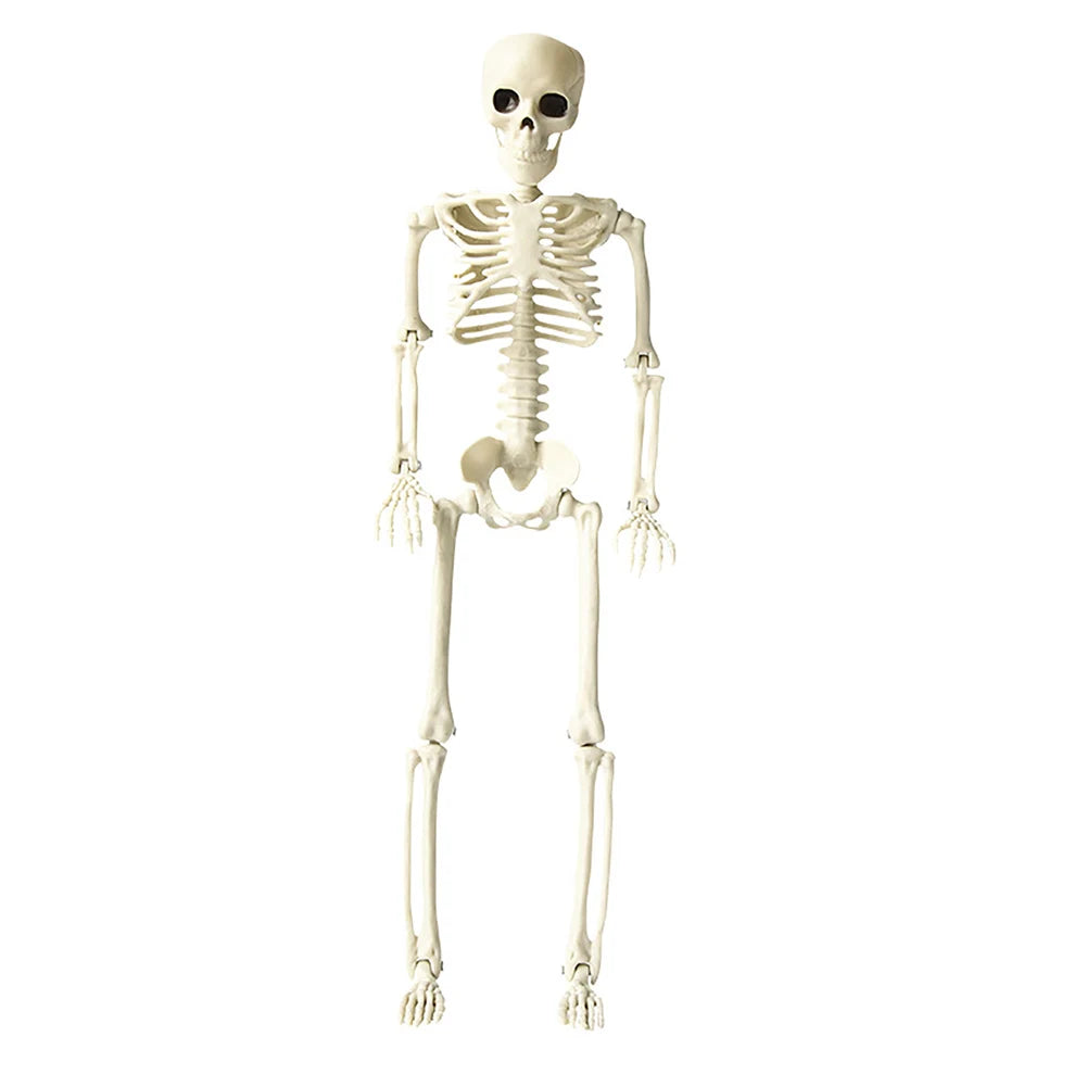 Shunmaii Skull Skeleton Halloween Props For Outdoor Garden