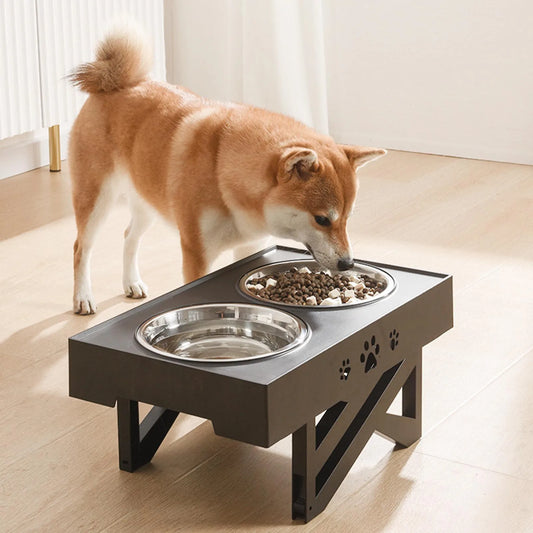 Stainless Steel Elevated Dog Bowl Non-Slip No Spill Design