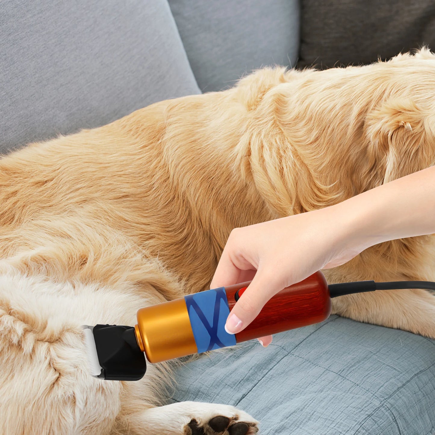 Pet Hair Clipper Low Noise Efficient Electric Variable