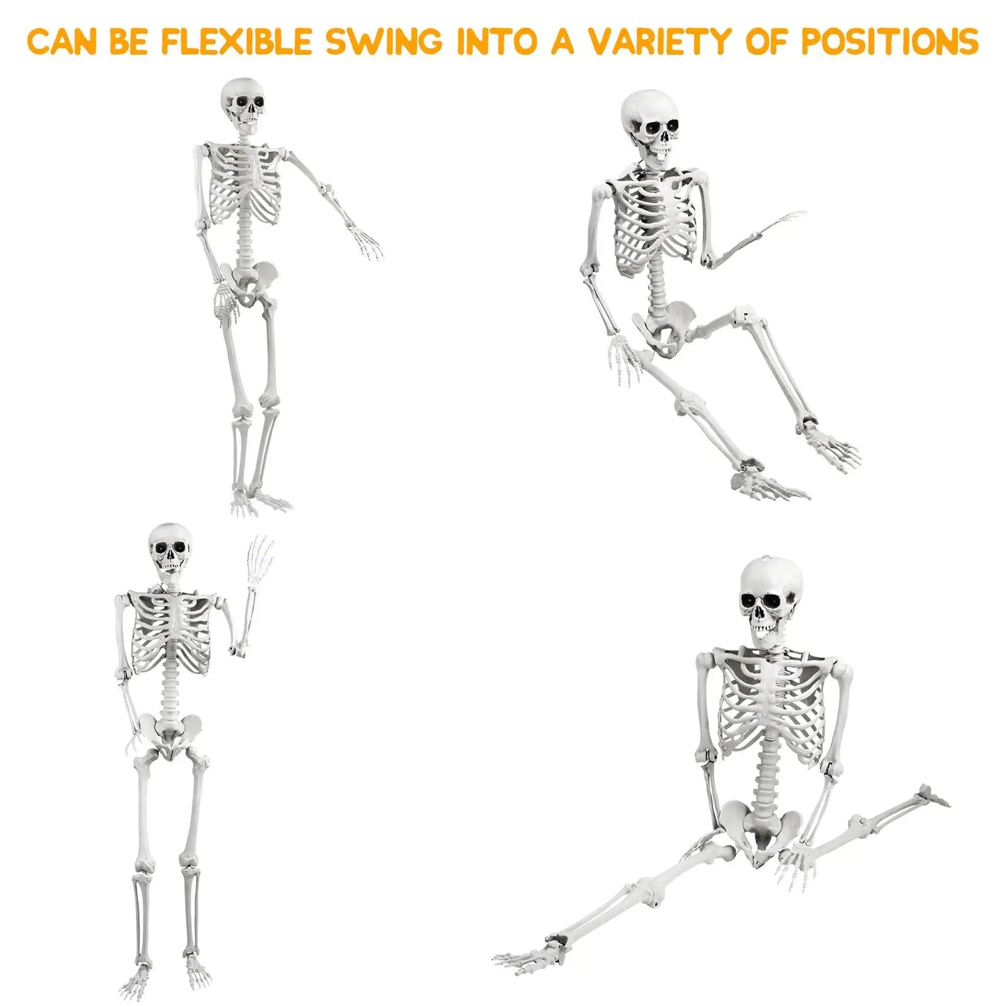 Halloween Skeleton Decoration 165cm Plastic Vivid Design Sound Effect Movable Joints Home Ornament Bone Decor for Photo