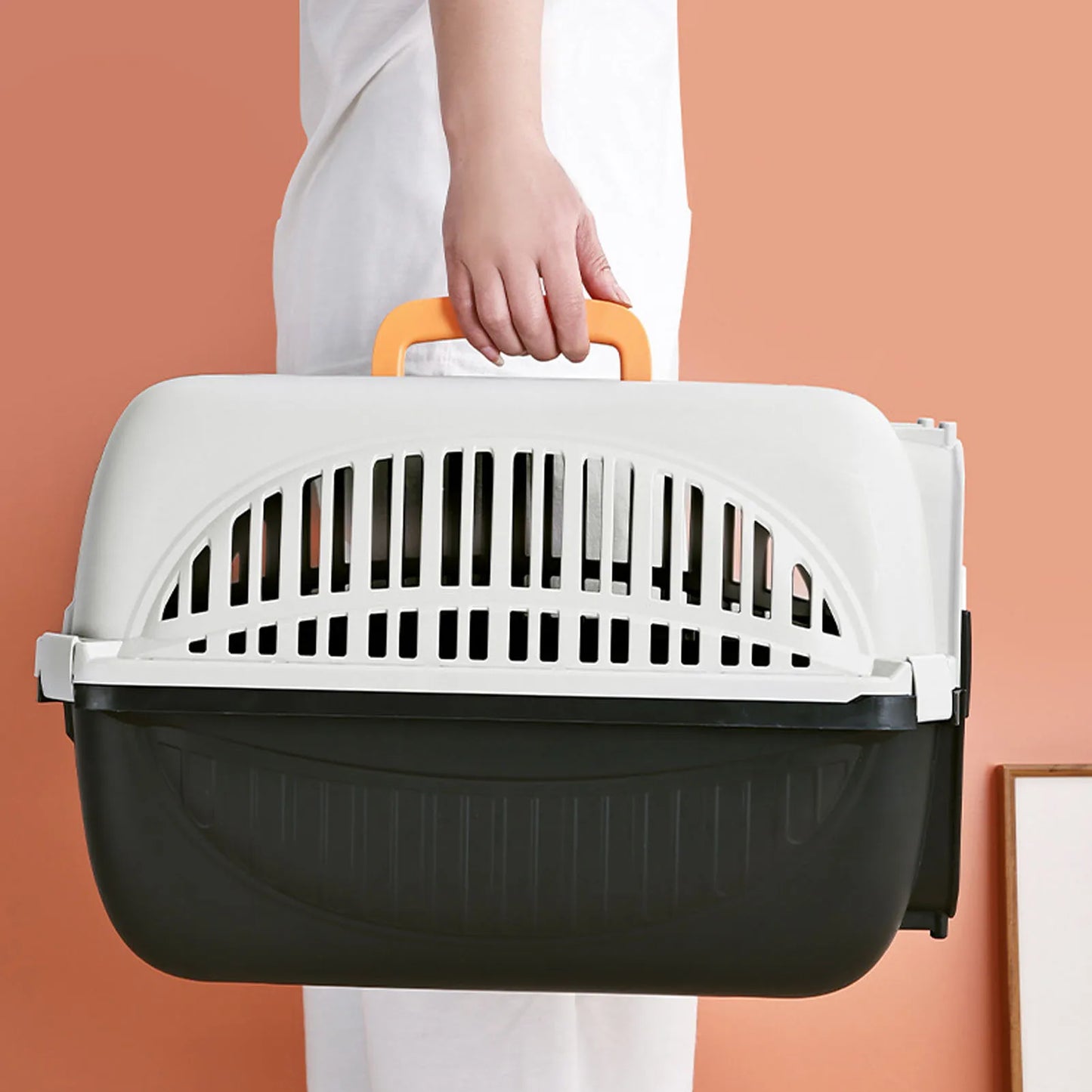 Other Plastic Pet Carrier With Ample Ventilation For Small Dogs