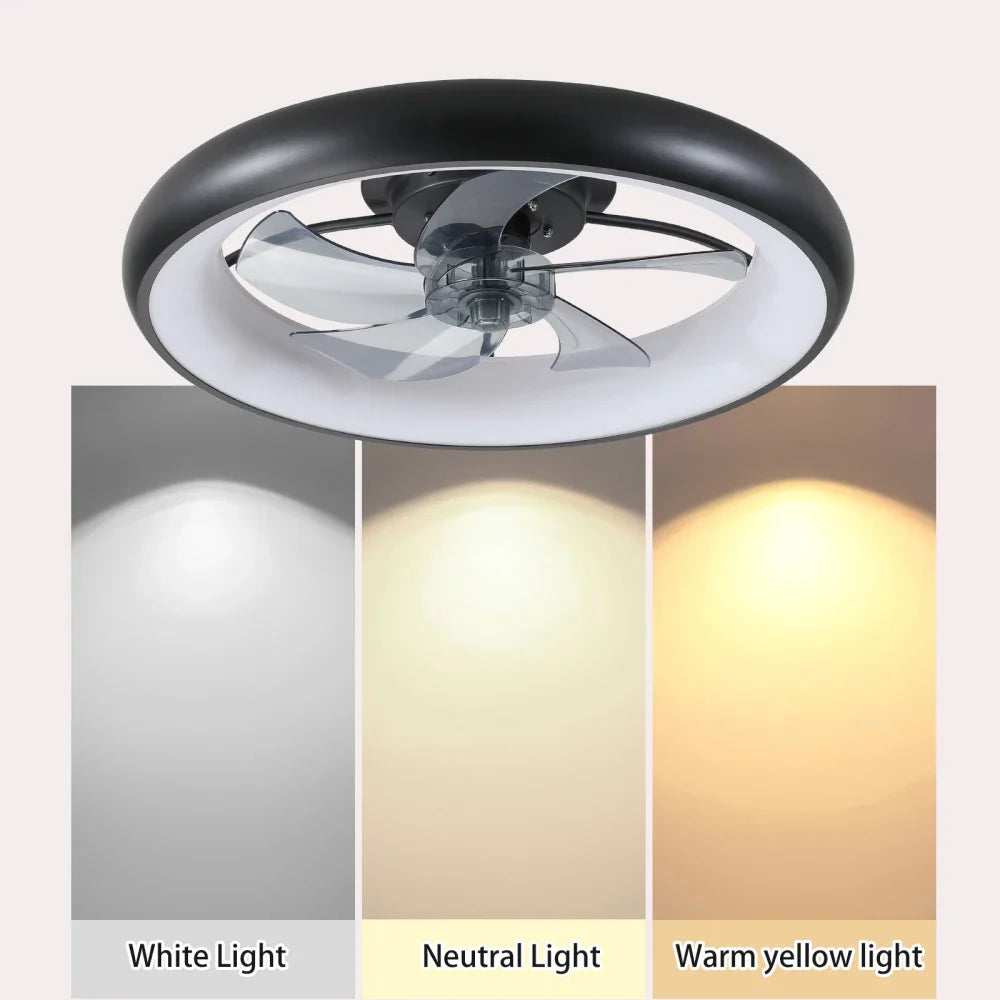 Modern Ceiling Fan with Dimmable LED Lights Remote Control Safe and Quiet Design